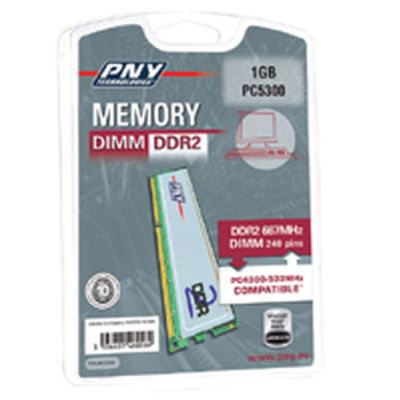 PNY Dimm DDR2 667MHz (PC5300) 1GB geheugenmodule