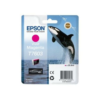 Epson C13T76034N10, 25,9 ml, 1 stuk(s), Enkele verpakking
