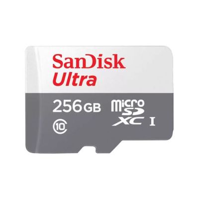 SanDisk Ultra, 256 GB, MicroSDXC, Klasse 10, UHS-I, 100 MB/s, Grijs, Wit