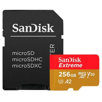 SanDisk Extreme PLUS, 256 GB, MicroSDXC, Klasse 10, 200 MB/s, 140 MB/s, Class 3 (U3)