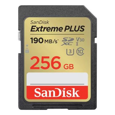 SanDisk SDSDXW2-256G-GNCIN, 64 GB, SDXC, Klasse 10, 190 MB/s, 130 MB/s, Class 3 (U3)