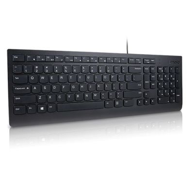 Lenovo Essential, Volledige grootte (100%), Bedraad, USB, Zwart