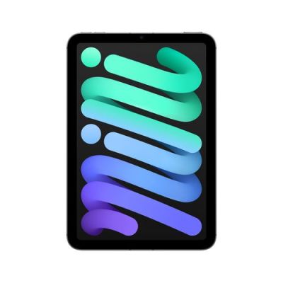 iPad Mini 2024 Wi-Fi Cl 256GB Space Gray
