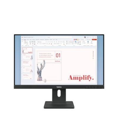 Lenovo ThinkVision E24-40, 60,5 cm (23.8"), 1920 x 1080 Pixels, Full HD, LCD, 6 ms, Zwart