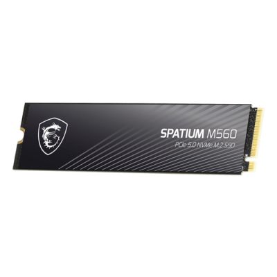 MSI Spatium M560 PCIE 5.0 NVME M.2, 2 TB, M.2