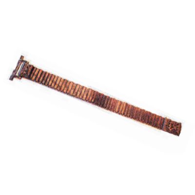 Zebra SG-WS5X-STRP-10, Polsband, Zebra, WS50, Oranje, 10 stuk(s)