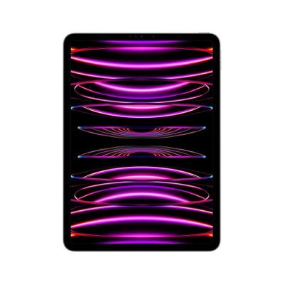 Apple iPad Pro, 27,9 cm (11"), 2388 x 1668 Pixels, 1000 GB, 16 GB, iPadOS 16, Grijs