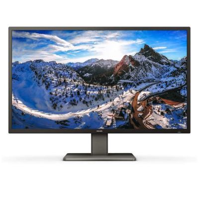 Philips P Line 439P1/00, 108 cm (42.5"), 3840 x 2160 Pixels, 4K Ultra HD, LED, 4 ms, Zwart