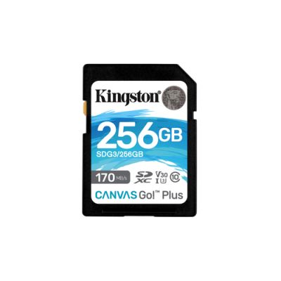 Kingston Technology Canvas Go! Plus, 256 GB, SD, Klasse 10, UHS-I, 170 MB/s, 90 MB/s