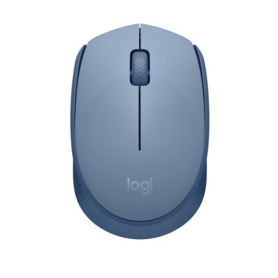 Logitech M171, Ambidextrous, Optisch, RF Draadloos, Blauw