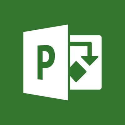 Microsoft Project Professional, Client Access License (CAL)