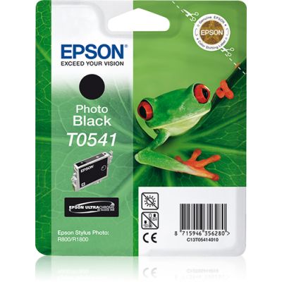 Epson inktpatroon Photo Black T0541 Ultra Chrome Hi-Gloss, Pigmentgebaseerde inkt, 1 stuk(s)