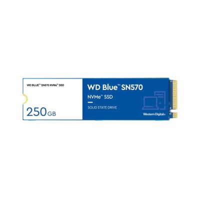 Western Digital WD Blue SSD SN570 NVMe 250GB M.2 2280