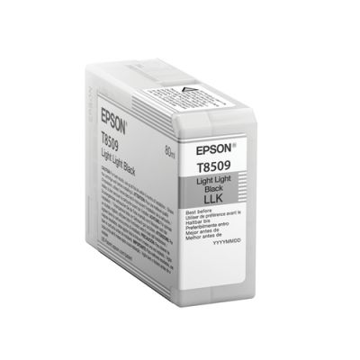 Epson Singlepack Light Light Black T850900, Inkt op pigmentbasis, 80 ml, 1 stuk(s)