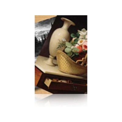 Epson Premium Luster Photo Paper, 60" x 30,5 m, 260g/m², Premium-gloss, 260 g/m², 0,97 procent, - Su