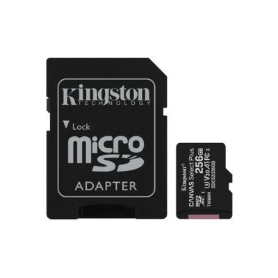 256GB micSDXC 100R A1 C10 Card+ADP