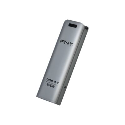 PNY FD256ESTEEL31G-EF, 256 GB, 3.2 Gen 1 (3.1 Gen 1), 20 MB/s, Glij, Roestvrijstaal
