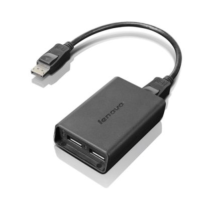 Lenovo DisplayPort to Dual-DisplayPort Monitor Cable, USB A, USB A, Mannelijk/Vrouwelijk, Zwart